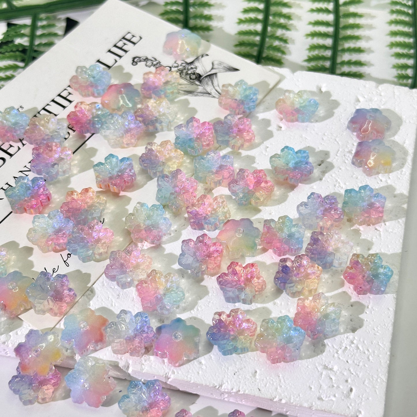 イベント&お花